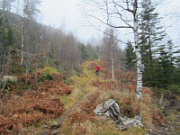 Line_20220801_62e7afac1c31e.jpg