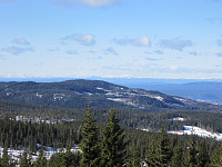 Line_20220801_62e7b6c92e16f.jpg