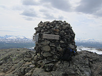 Line_20220801_62e7cc26629a0.jpg