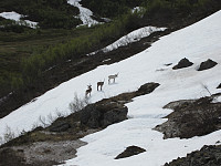 Line_20220801_62e7cc2b9f38c.jpg