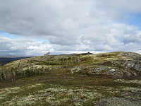 Line_20220801_62e7cf5520082.jpg