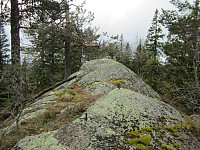 Line_20220801_62e7d9b0c62ac.jpg