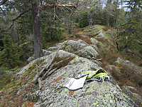 Line_20220801_62e7d9b3ead36.jpg