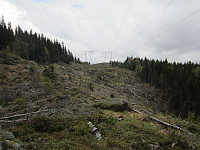 Line_20220801_62e7d9bb37066.jpg