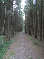 Line_20220801_62e7df2eea19a.jpg