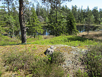 Line_20220801_62e7e036d2ce3.jpg