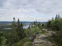 Line_20220801_62e7e11760a9d.jpg