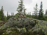 Line_20220801_62e7fd68d36ef.jpg