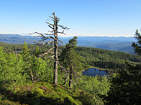 Line_20220801_62e7ffde35615.jpg