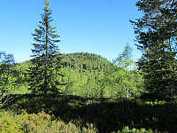 Line_20220801_62e7ffdf9817c.jpg