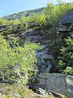 Line_20220801_62e800418496a.jpg