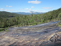 Line_20220801_62e8004a62cb3.jpg