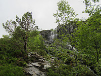 Line_20220801_62e80153f418f.jpg