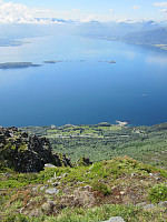 Line_20220801_62e80246373c5.jpg