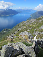 Line_20220801_62e8024770d75.jpg