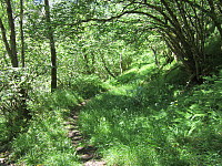 Line_20220801_62e8024f435b8.jpg