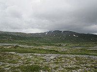 Line_20220801_62e8078faaa47.jpg