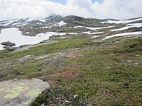 Line_20220801_62e807924232a.jpg