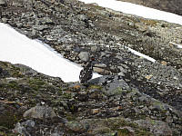 Line_20220801_62e81ac3ed244.jpg