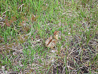 Line_20220801_62e81da201d02.jpg