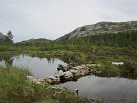 Line_20220801_62e81da426890.jpg