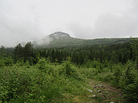 Line_20220801_62e81ec371124.jpg