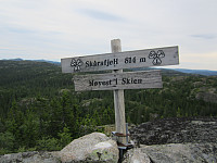 Line_20220801_62e820300df6f.jpg