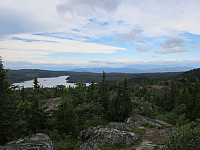 Line_20220801_62e820312efcd.jpg