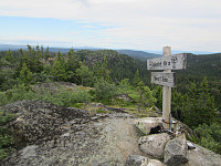 Line_20220801_62e820348db87.jpg