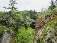 Line_20220801_62e8208418447.jpg