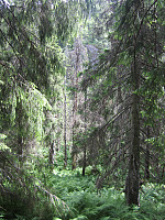 Line_20220801_62e820868cf39.jpg