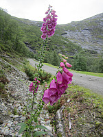 Line_20220801_62e823738a8de.jpg
