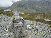 Line_20220801_62e82376dace1.jpg