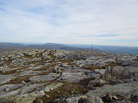 Line_20220802_62e8bcd78d3a9.jpg