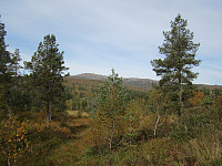 Line_20220802_62e8bcd8c36d6.jpg