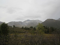 Line_20220802_62e8bdf5ddee6.jpg