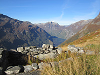 Line_20220802_62e8caeba78c0.jpg