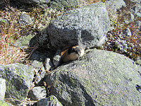 Line_20220802_62e8caf093f4e.jpg