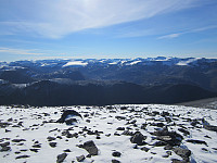 Line_20220802_62e8caf72a108.jpg