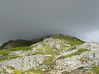 Line_20220803_62eaa94242ba2.jpg
