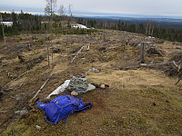 Line_20220804_62eb6d9b4e8a8.jpg