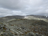 Line_20220805_62ed5b182082f.jpg