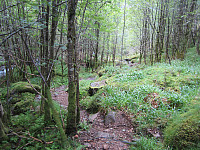 Line_20220805_62ed5b8748e9b.jpg
