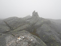 Line_20220805_62ed5f25735de.jpg