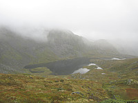 Line_20220805_62ed5f2dc7bf8.jpg