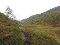 Line_20220805_62ed5f47b7f00.jpg