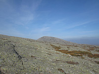 Line_20220805_62ed603e661a4.jpg