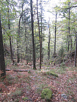 Line_20220805_62ed634f9baf1.jpg