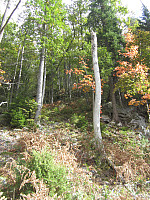 Line_20220805_62ed636d10f17.jpg