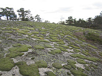 Line_20220805_62ed63e9ac912.jpg